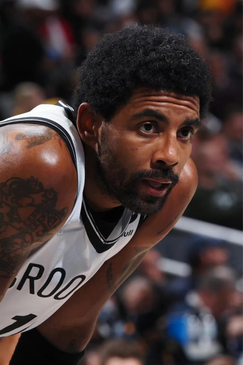 在短短两周 在短短两周